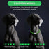 Weewooday 5 Pcs Light Up Dog Collars, Silicone LED Lighted for Night Walking, Rechargeable Glow in The Dark Safety