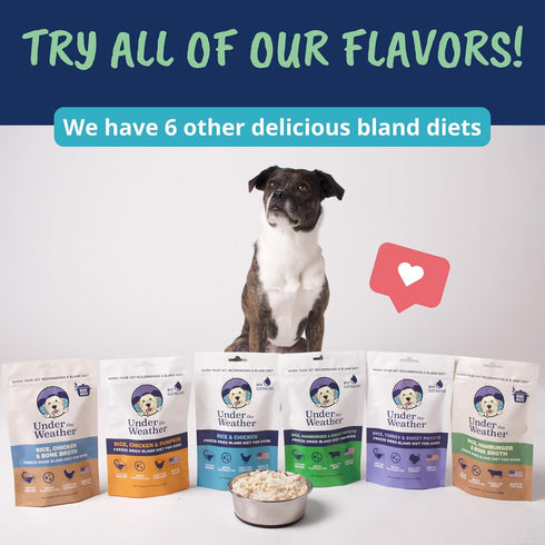 Under the Weather Bland Diet for Dogs, Easy to Digest Natural Freeze Dried 100% Human Grade Meats, 6oz Pack