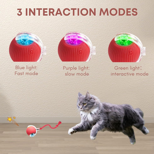 Rocfish Durable Interactive Cat Toys for Indoor Cats, Smart Automatic Cat Chase Ball Toy, Upgraded Speedy Tail Kitten