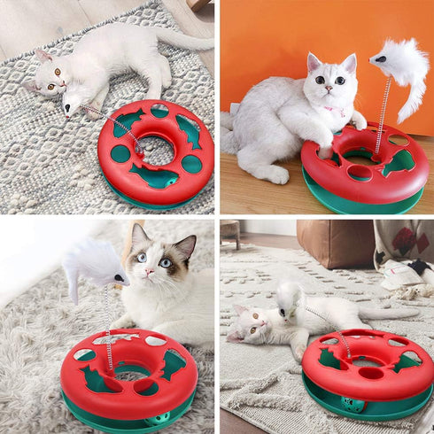 Cat Toys for Indoor Cats - Interactive Roller Tracks with Catnip Spring Pet Toy and Teaser Mouse
