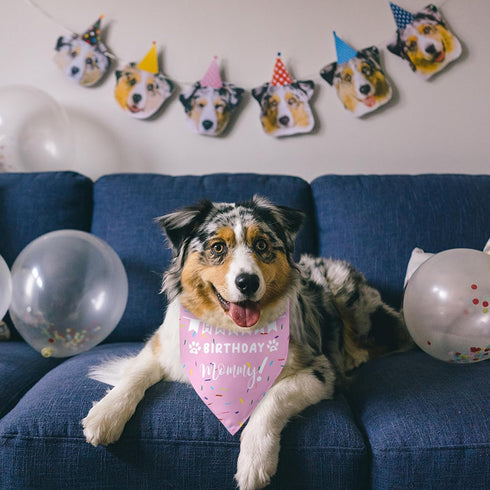 Happy Birthday Mommy Dog Bandana Scarf - Triangle Accessory Gifts for Dog Mom Lovers Birthday Party