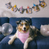 Happy Birthday Mommy Dog Bandana Scarf - Triangle Accessory Gifts for Dog Mom Lovers Birthday Party