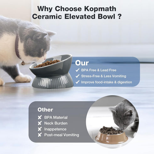 Elevated Ceramic Cat Bowl, Tilted Anti Vomiting Design, Spill-Proof and Dishwasher Safe for Indoor Cats