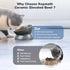 Elevated Ceramic Cat Bowl, Tilted Anti Vomiting Design, Spill-Proof and Dishwasher Safe for Indoor Cats