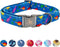 Elegant little tail Dog Collar, Blue Dinosaurs Pattern, Durable Adjustable Collar for X-Small Dogs
