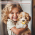 Vexulipro (3 Pack) Pet Pacifiers for Small Pets Photo-Prop Pacifiers for Puppies & Kittens, Cute Accessory for Small