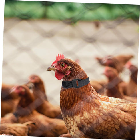 4pcs Nylon Chicken Collar for Rooster - No Crow Band Noise Collars, 2 Pack for Poultry