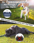 Vibrating Dog Collar, No Shock Training Collar with Remote, 2000ft Range, Waterproof & Rechargeable for 8-120 lbs
