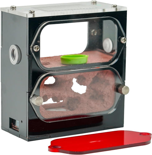 Ant Farm for Live Ants - for Small Ant Clony - Natural