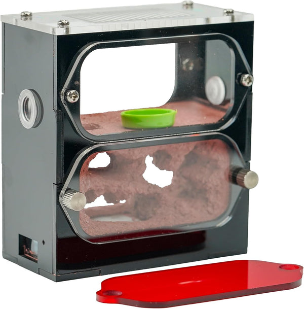 Ant Farm for Live Ants - for Small Ant Clony - Natural