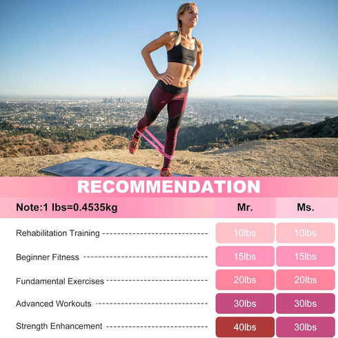 SZHLUX Resistance Bands Set with Instruction Guide and Carry Bag, Versatile for Body Sculpting and Strength Training