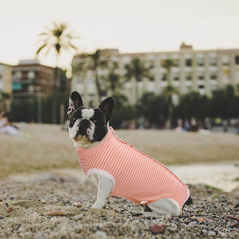 SAWMONG Dog Recovery Suit for After Surgery, Spay Surgical Suit for Female Dogs, Pink, XX-Large, Dog Onesie