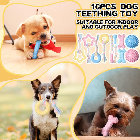 Syhood 60 Pcs Squeaky Dog Toys Bulk for Small Dogs, Plush Chew Toys and Spiky Balls for Teething