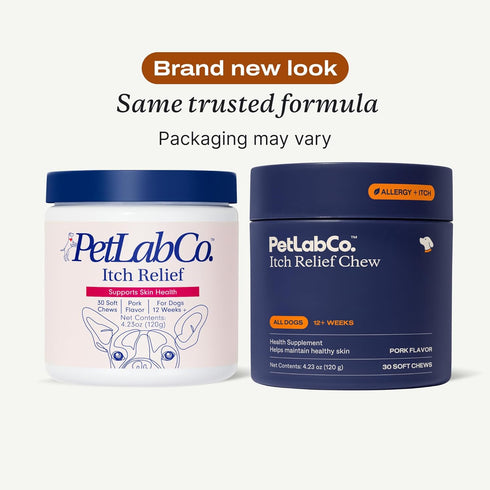 PetLab Co. Itch Relief Chews for Dry, Occasionally Itchy Skin & Coats, Formulated with Turmeric, Omega 3 & 6, Honey
