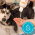 Essential Fatty Acid Deodorizing Shampoo for Dogs, 16oz | Cherry Blossom Scent, Tearless, Soapless & Alcohol-Free