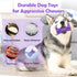 Tough Dog Toys for Aggressive Chewers - Indestructible Puzzle Toys, Interactive Chew Toys with Beef Flavor for All Dog