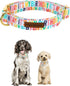 Unique Style Paws Birthday Dog Collar, Soft Cute Bow Tie, Durable Adjustable Pet Collar for X-Large Dogs