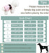 Female Dog Diapers - Premium Reusable Diapers for Doggie in Heat - Highly Absorbent Dog Diapers Female for Pet