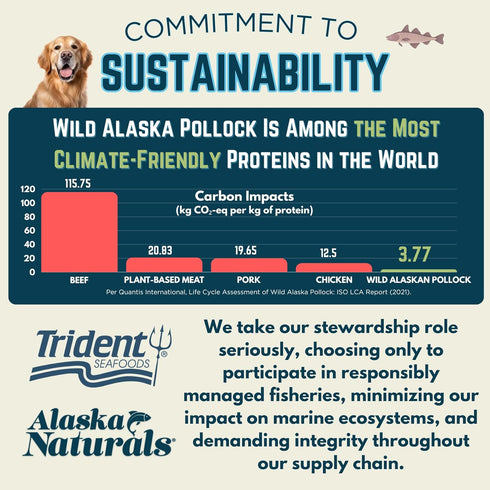 Sustainable Wild Alaskan Fish Oil for Dogs - 15.5 oz Pump - EPA + DHA Omega 3 Oil for Skin, Coat, and Brain Health