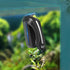 2 AQQA Aquarium Magnet Glass/Acrylic Cleaner,Fish Tank Cleaner Brush,Magnetic Algae Scrapers Cleaning Tools