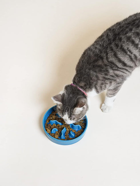Ceramic Slow Feeder Dog Bowls for Small Breed, 0.5 Cups Dog Food Dish for Fast Eaters, Puzzle Bowl, Blue