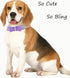 Adjustable Leather Suede Rhinestone Dog Collar, Bling Diamond Bow Tie Collars for Small Medium Large Dogs