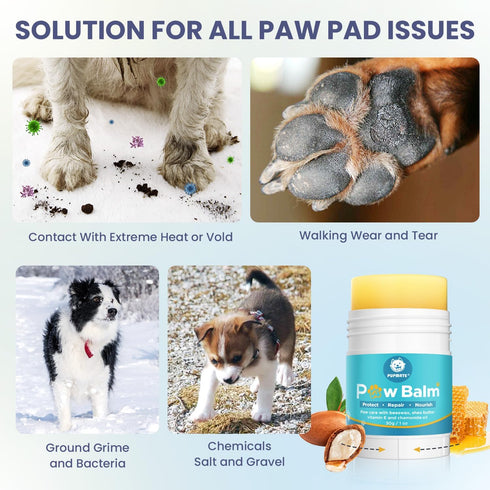 Dog Paw Care Kit | No-Rinse Paw Cleaner & Soothing Paw Balm | Gentle and Safe | Removes Tangles & Knots with Dog
