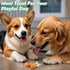 10.6oz, 18-20 Count Dog Treats for Small Dogs, Chicken Wrapped Calcium Bones Rawhide-Free Grain-Free Chews Training