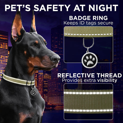 TECEUM Reflective Pet Collar – Basic Nylon Dog Collar – Quick Release Buckle – Olive – M – Fits Small, Medium and Large