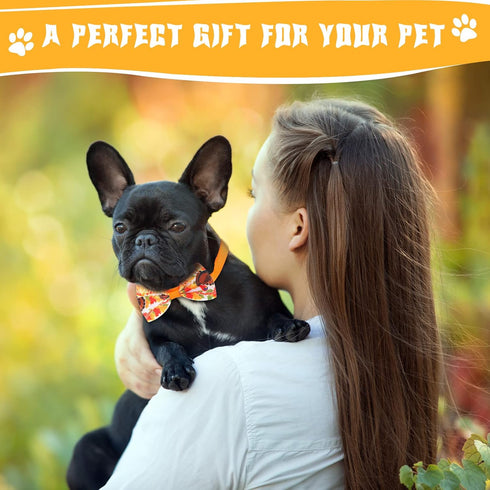 100 Pieces Dog Bows Set, Fall Dog Bows, Thanksgiving Bow Ties, Halloween Dog Bows for Small Medium Dogs
