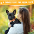 100 Pieces Dog Bows Set, Fall Dog Bows, Thanksgiving Bow Ties, Halloween Dog Bows for Small Medium Dogs