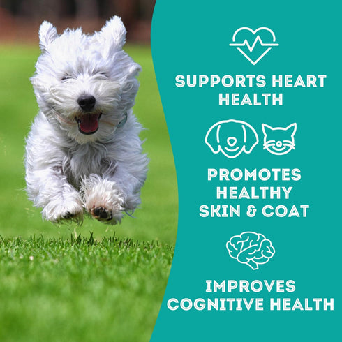 Dehydrated Protein Wild Salmon & Tuna Treat for Dogs & Cats - Slowly Dehydrated Raw Single Ingredient