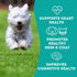Dehydrated Protein Wild Salmon & Tuna Treat for Dogs & Cats - Slowly Dehydrated Raw Single Ingredient