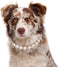 KUDES Exquisite Adjustable Dog Necklace - Elegant Classic Pearl Collar Necklace Accessories for Dogs (3XL)