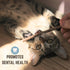 Smokey's Stash 10 Catnip Alternative Matatabi Silvervine Sticks for Cats, Potent Chew Toy for Clean Teeth