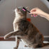 3 Pcs Dog Tear Stain Comb, Eye Cleaning Comb for Pets, Grooming Combs for Removing Crust Mucus and Flea