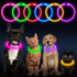 LED Dog Collar, USB Rechargeable Glowing Lighted Collar, Water-Resistant TPU Safety Lights for All Dog Sizes
