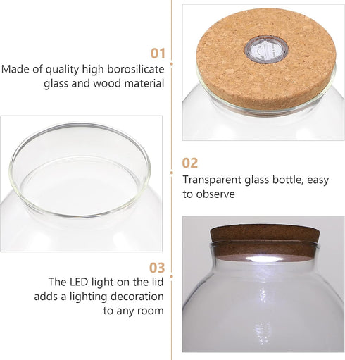 Fish Bowl with LED Light, Small Betta Fish Tank with LED Lighting and Lid, Glass Fish Bowl for DIY Landscape