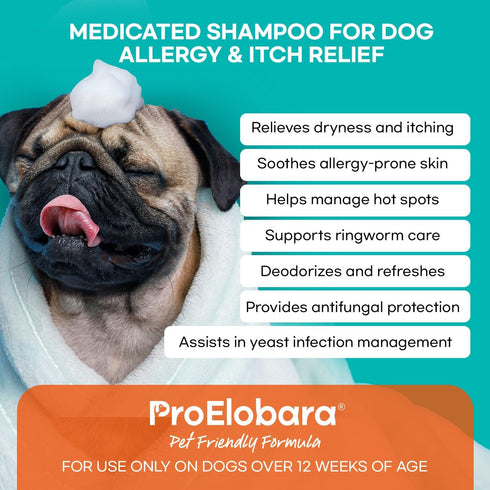 16 OZ Medicated Dog Shampoo for Allergies and Itching: Antifungal Dog Shampoo, Yeast Infection and Bacterial Treatment