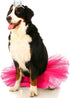 2 Pcs Dog Crown Headband Dog Tutu Dress Set Crystal Rhinestone Dog Tiara Crown Tutu Skirt Dog Dress Cute Pet Costume for Puppy Dog Birthday Party Wedding Photo Prop Costume (Rose Red,X-Large)