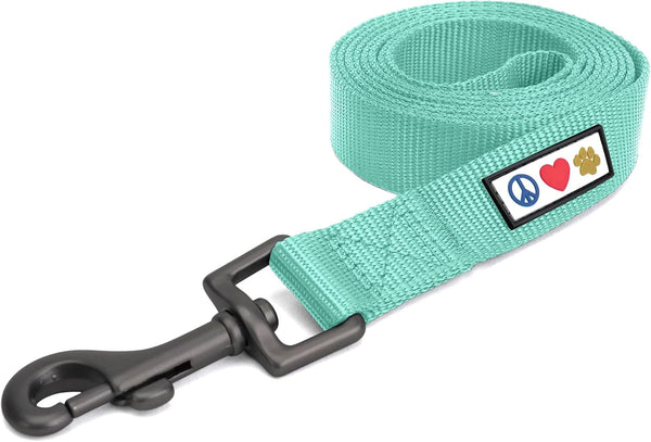 Pawtitas 6 FT Dog Leash - Solid Color Training Leash for Extra Small Dogs or Cats, Teal