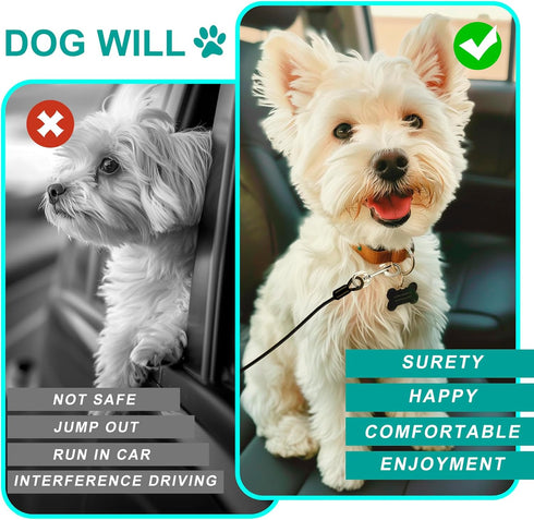 Dog Seat Belt for Car, LApapaye Chew Resistant Safety Restraint, Coated Wire Rope, Double End with Safety Buckle