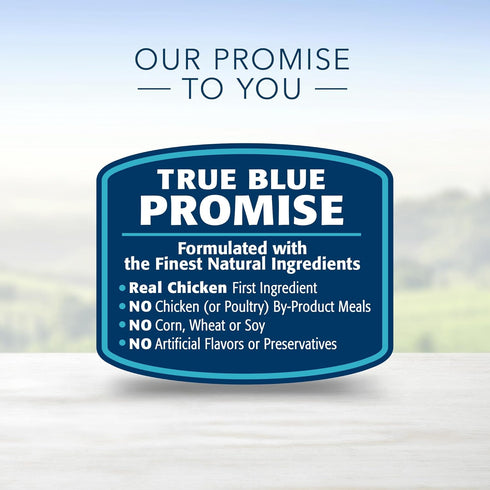 4-lb (Pack 2) Blue Buffalo Life Protection Formula Natural Adult Toy Breed Dry Dog Food, Chicken and Brown Rice