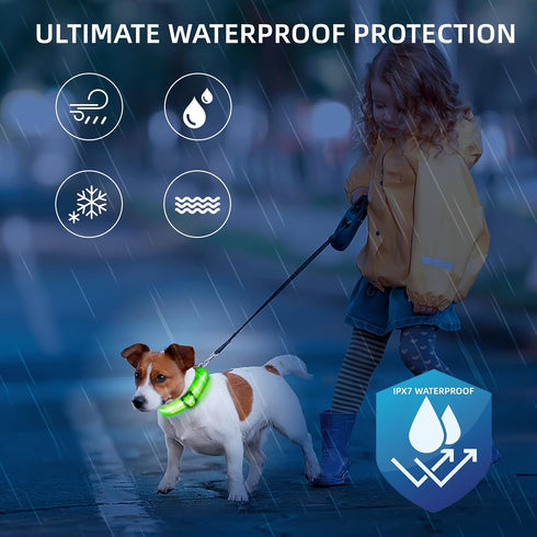 PetIsay Light Up Dog Collar - High Visibility Nylon, USB C Rechargeable & Waterproof LED for Night Walking, Medium Green
