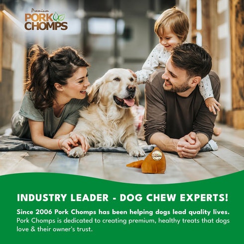 5-inch 1.6 (Pack 1) Pork Chomps Roasted Pork Skin Dog Chews, Ear Shapes, Ounce