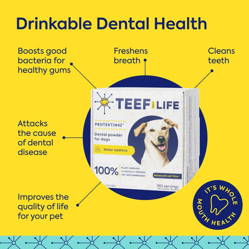 Packets Protektin42 1 Packet 30 TEEF FOR LIFE Refill Prebiotic Dental Powder for Dogs, Plant-derived, clinically-Proven
