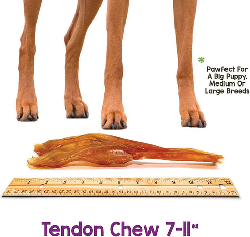 Nature Gnaws Beef Tendons for Dogs - 7-11" (12 Count), Long Lasting Natural Jerky Chew Bones, Rawhide Free