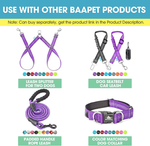 BAAPET 5 Feet Nylon Dog Leash, Triple Reflective Threads with Padded Handle for Walking Medium and Large Dogs (Purple)
