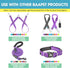 BAAPET 5 Feet Nylon Dog Leash, Triple Reflective Threads with Padded Handle for Walking Medium and Large Dogs (Purple)