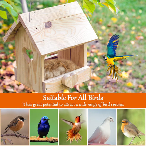 Sukh 2 Pack Bird Nesting Material, Hummingbird and Canary Nesting Material for Cage, Gardens, and Tree Trunks (80G)